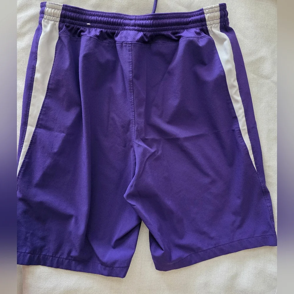 Nike‎ Purple Athletic Shorts Sports Size Large